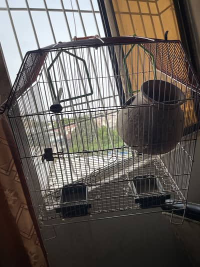 Parrots & Cage