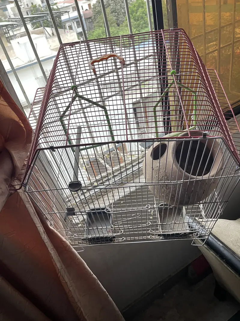 Parrots & Cage — photo 2