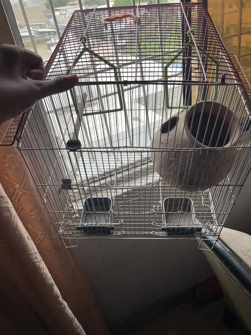 Parrots & Cage — photo 3