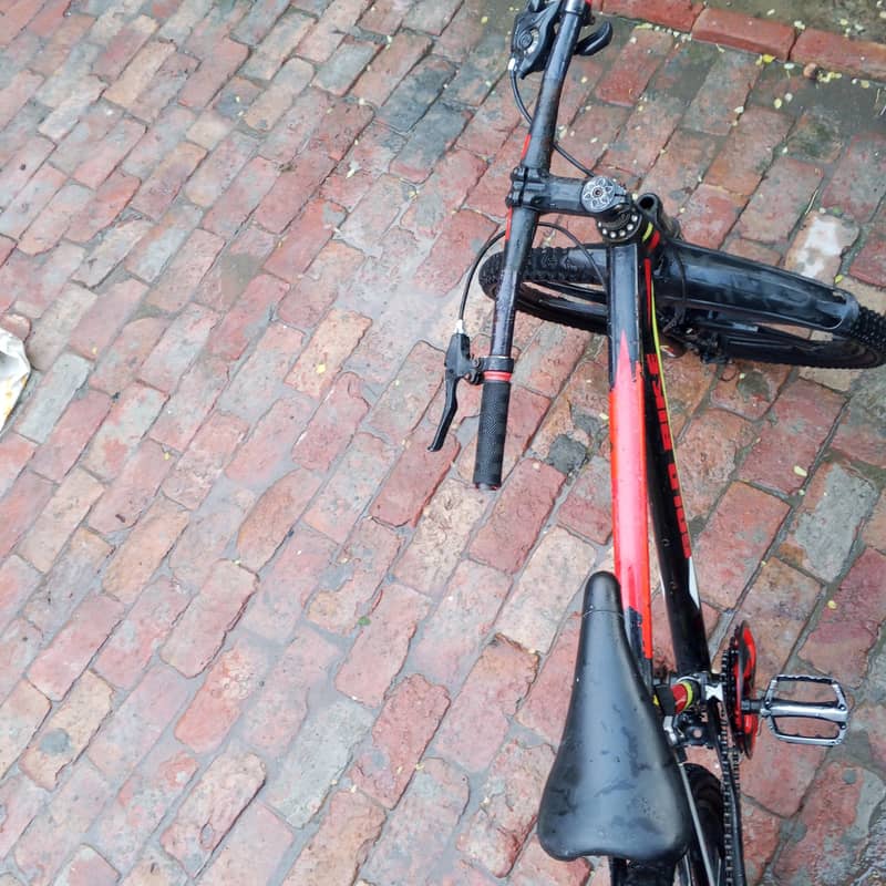 bicycle 4