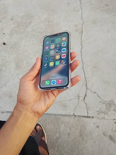 Apple iPhone X