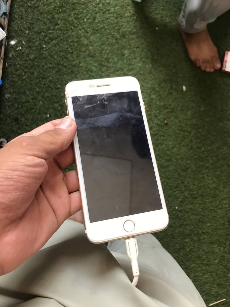 iPhone 7 Plus 3