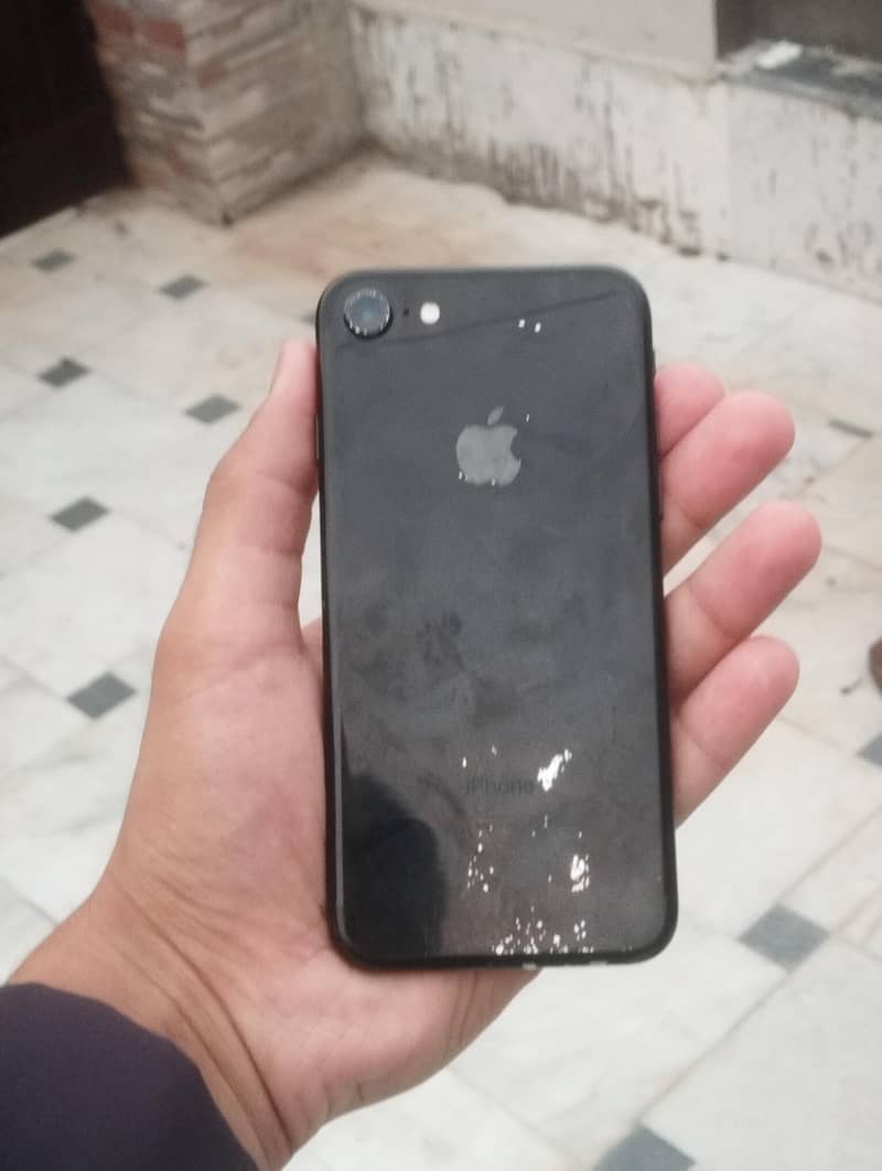 iPhone 7 1