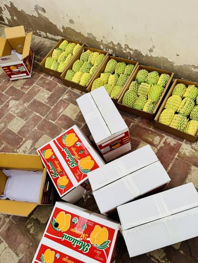 Multani Mango