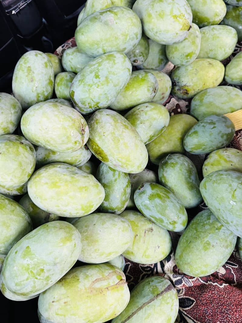 Multani Mango 1