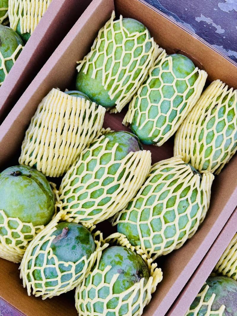 Multani Mango 2