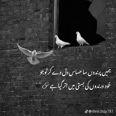 I need job