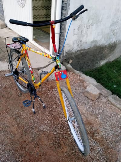 phoenix cycle 