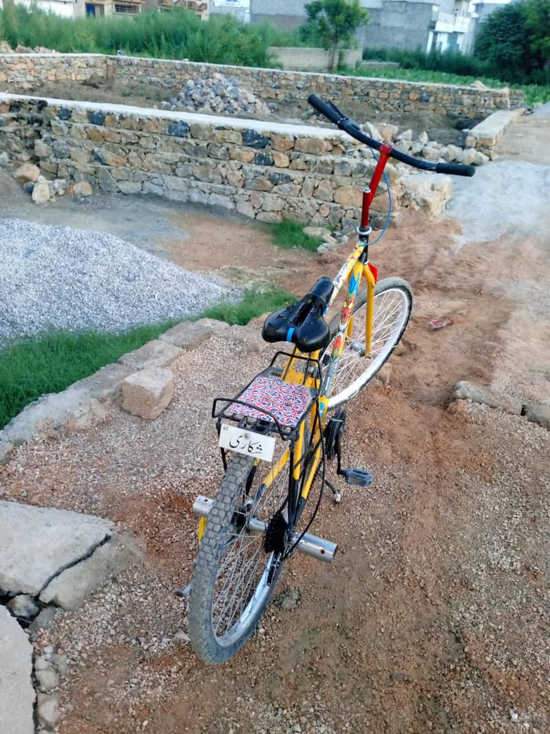 phoenix cycle  2