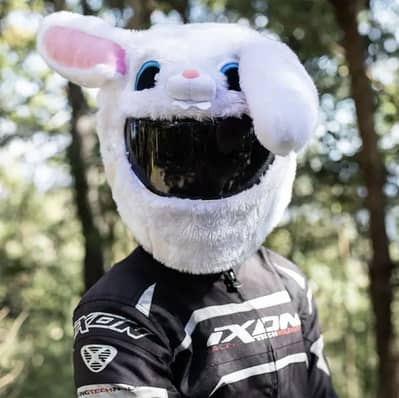 Bunny Helmet Cover