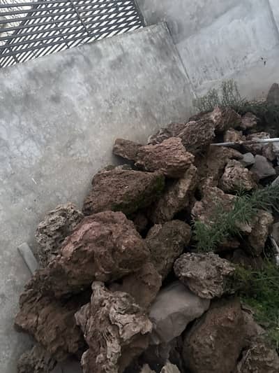 Beautiful rockery stones
