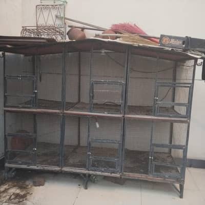 bird, s cage