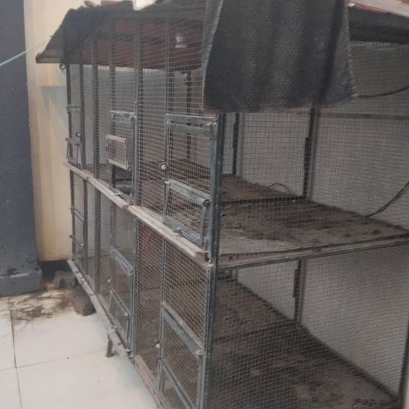 bird, s cage 1