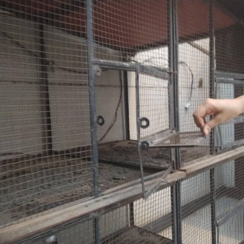 bird, s cage 4