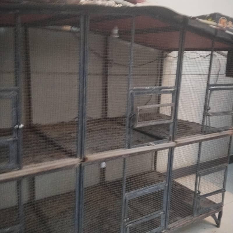 bird, s cage 5