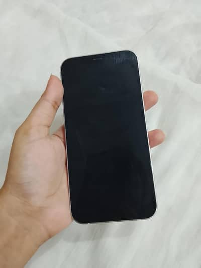 Apple iPhone 12 Pro