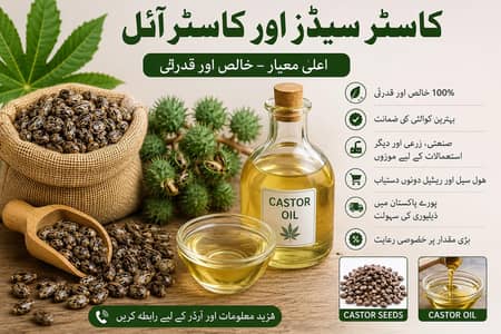 Castor Seed or Oil