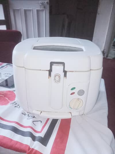 Electronic Fryer