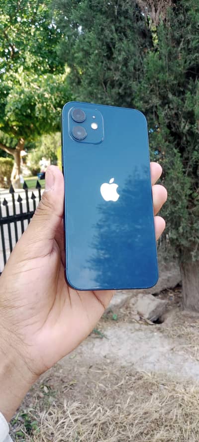 Apple iPhone 12