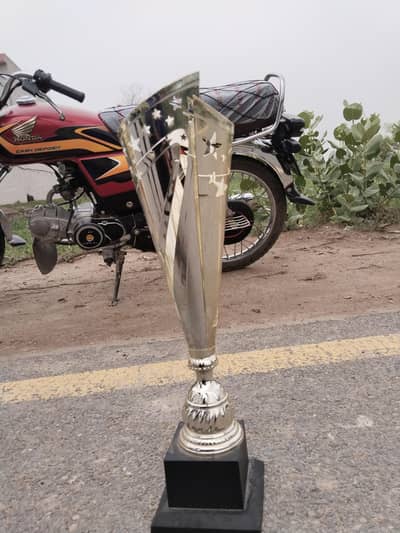Silwer Trophy 