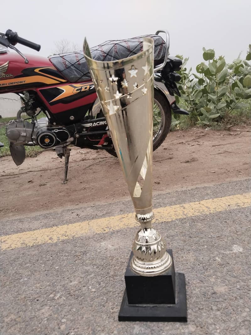Silwer Trophy  2