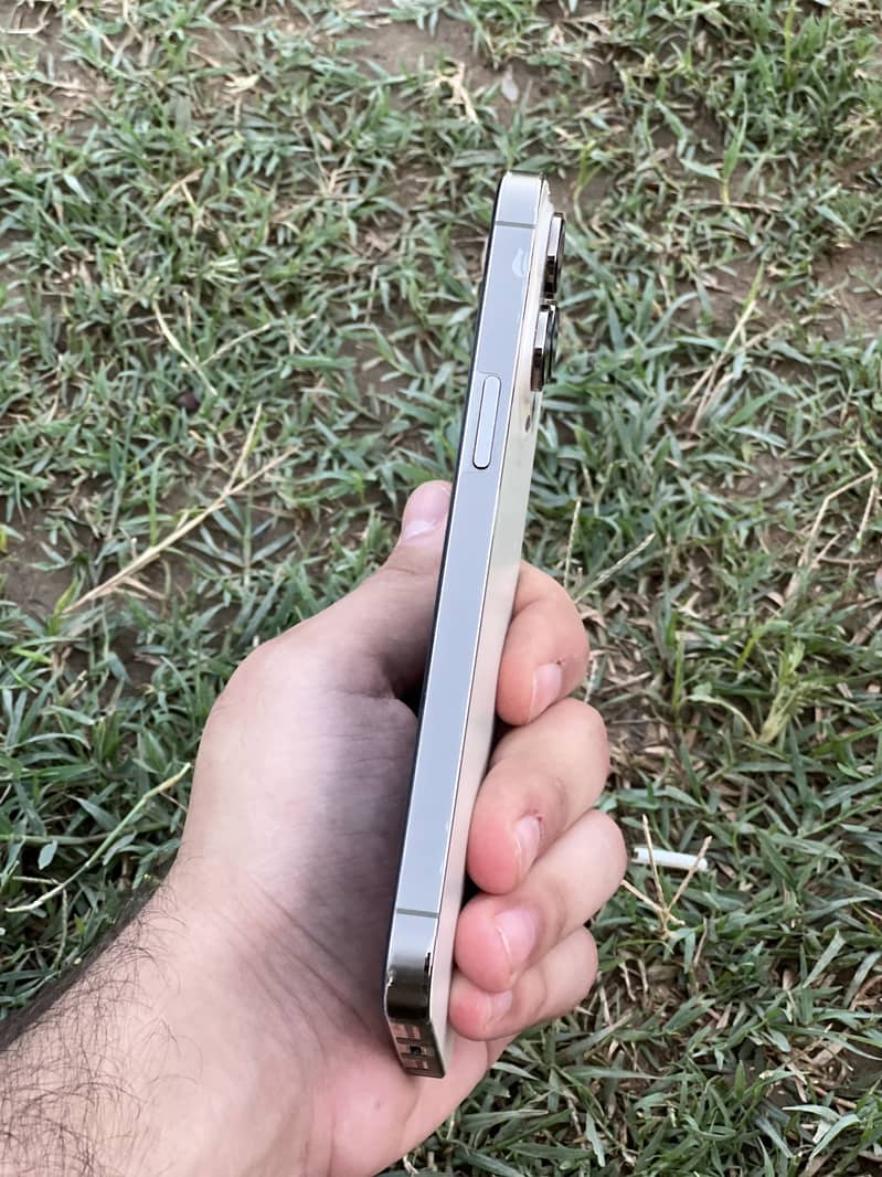 14 pro max 2