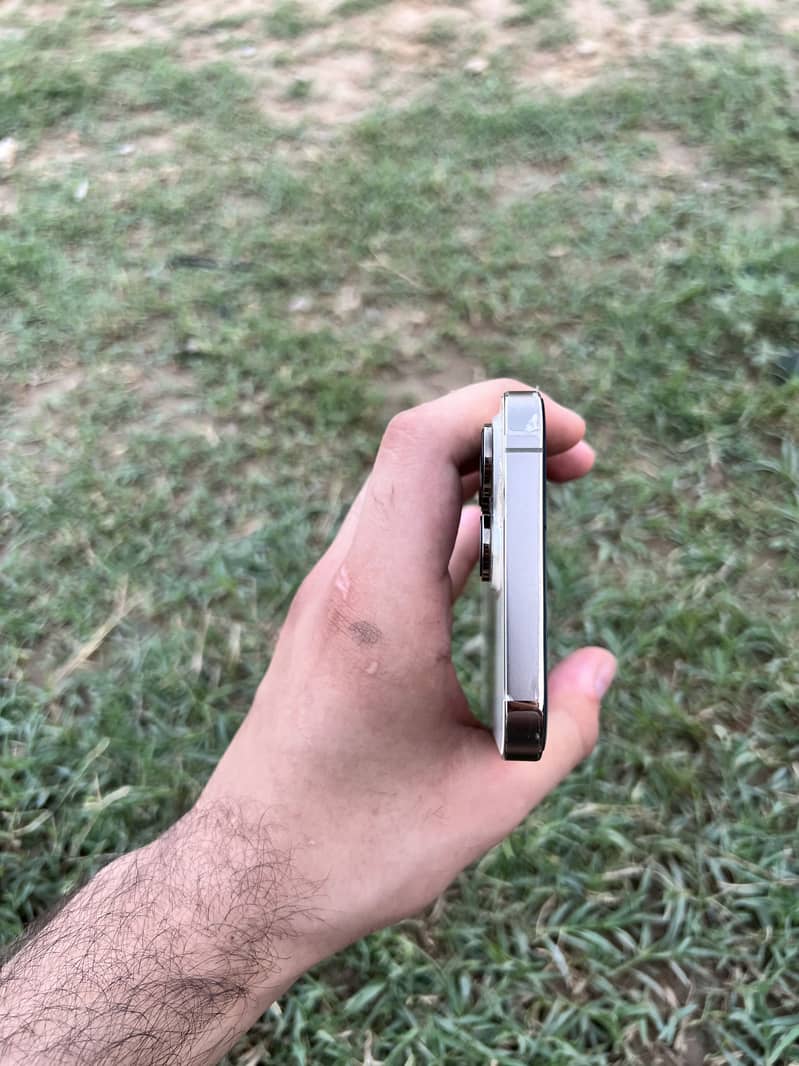 14 pro max 4