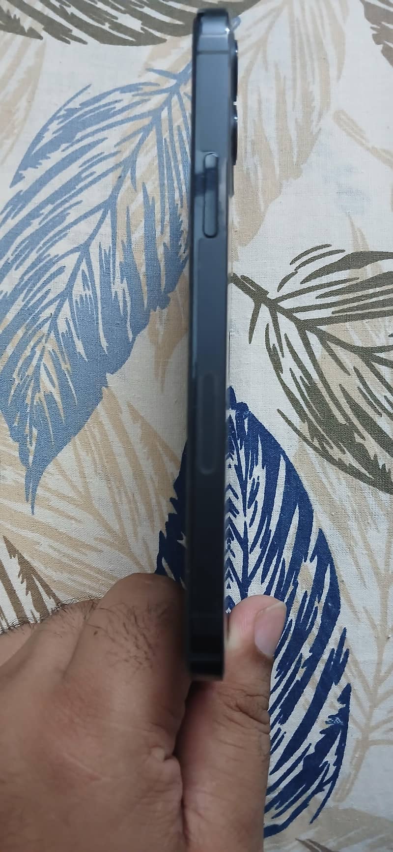 12 pro 3