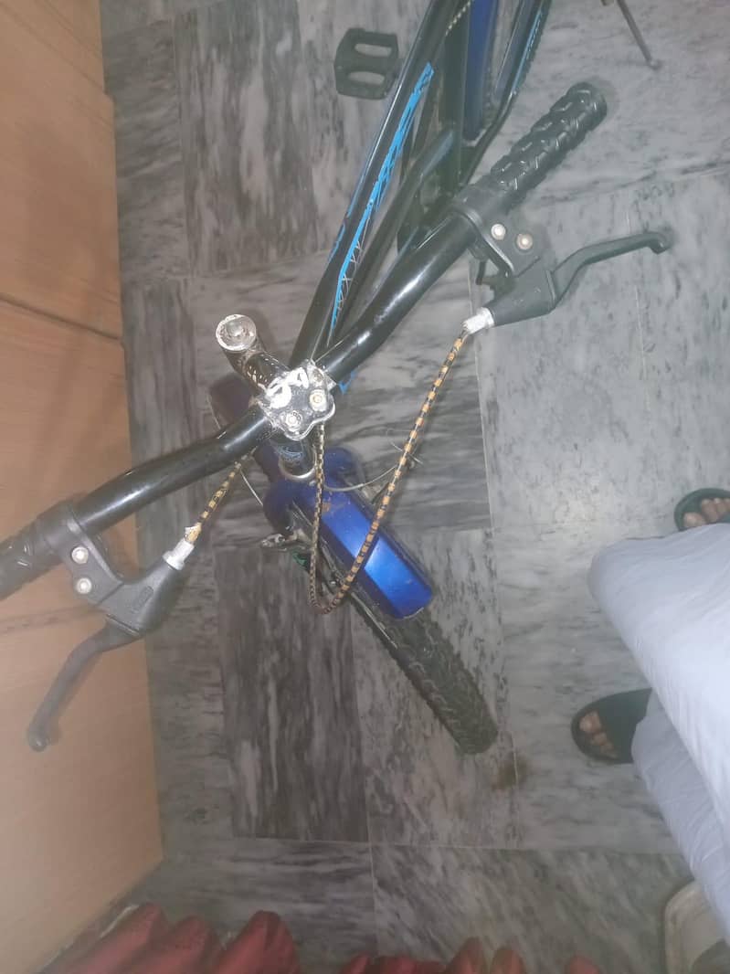 Bicycle 0