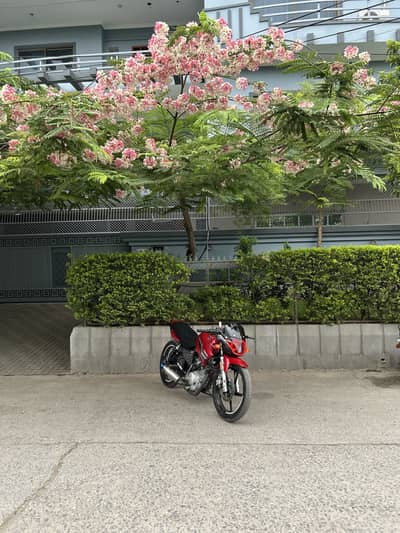 Yamaha ybr 125