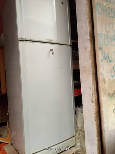 Pell Fridge