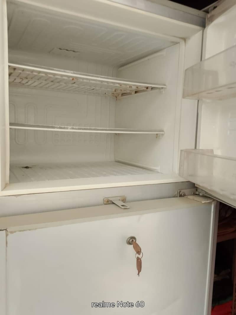 Pell Fridge 1