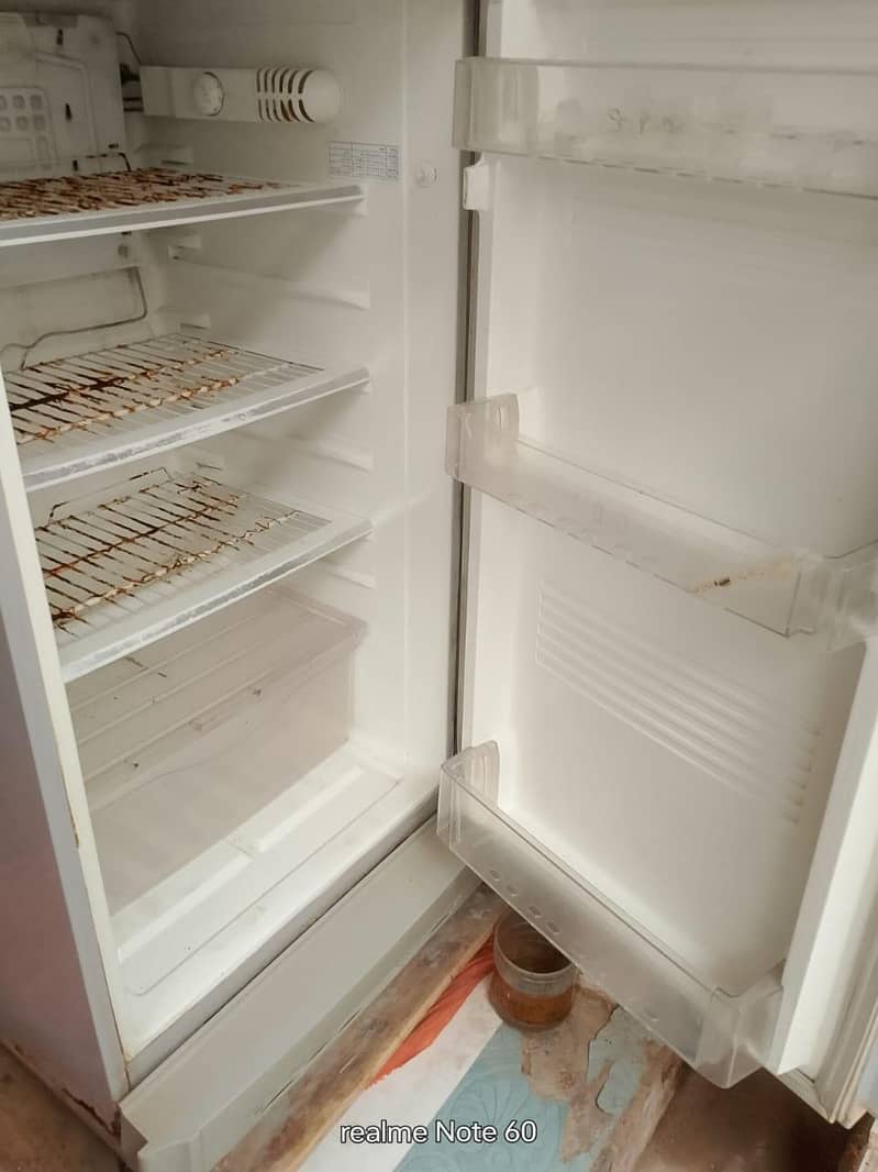 Pell Fridge 2