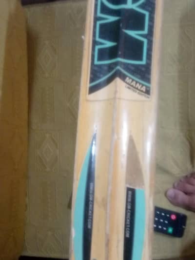 hard ball bat