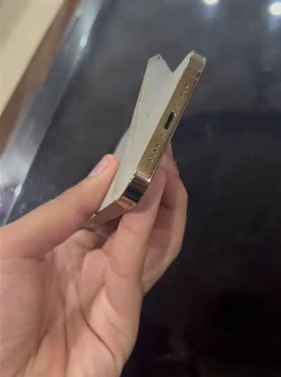 Apple iPhone 12 Pro