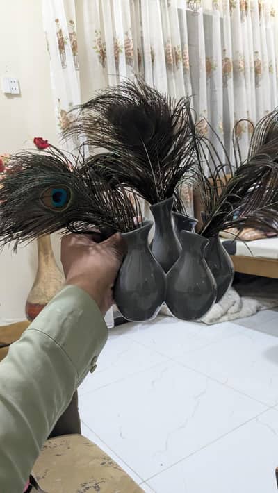 chance peacock feather vase