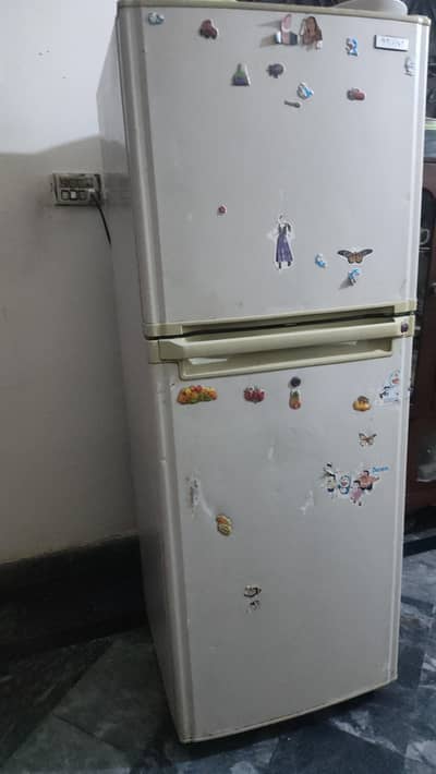 Fridge for kitchen