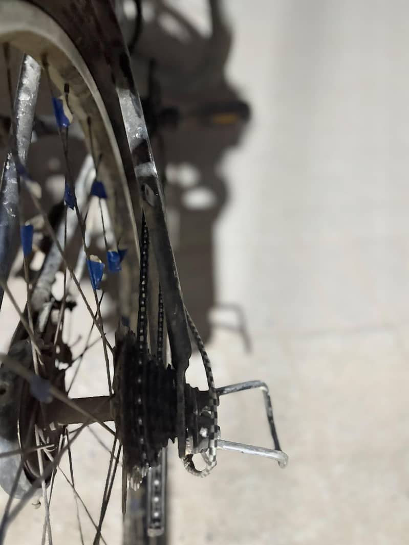 bicycle 7