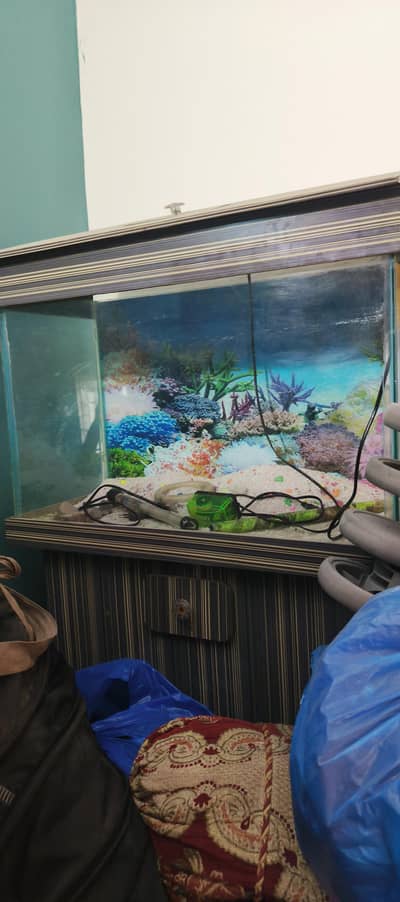 fish aquarium for sale