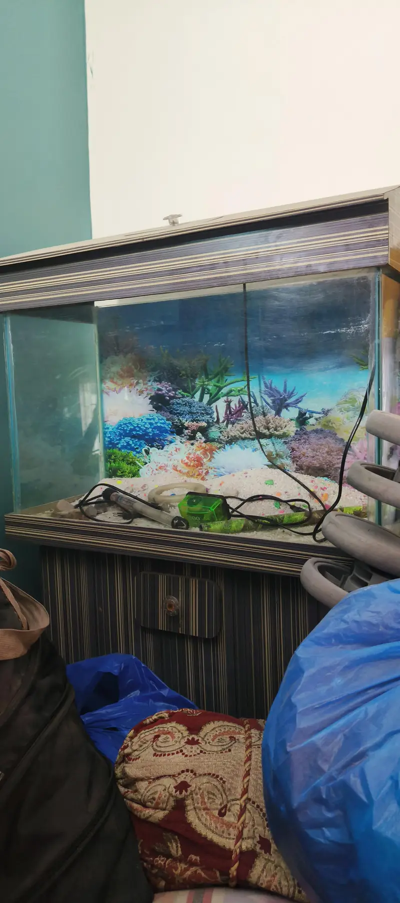 fish aquarium for sale — photo 2