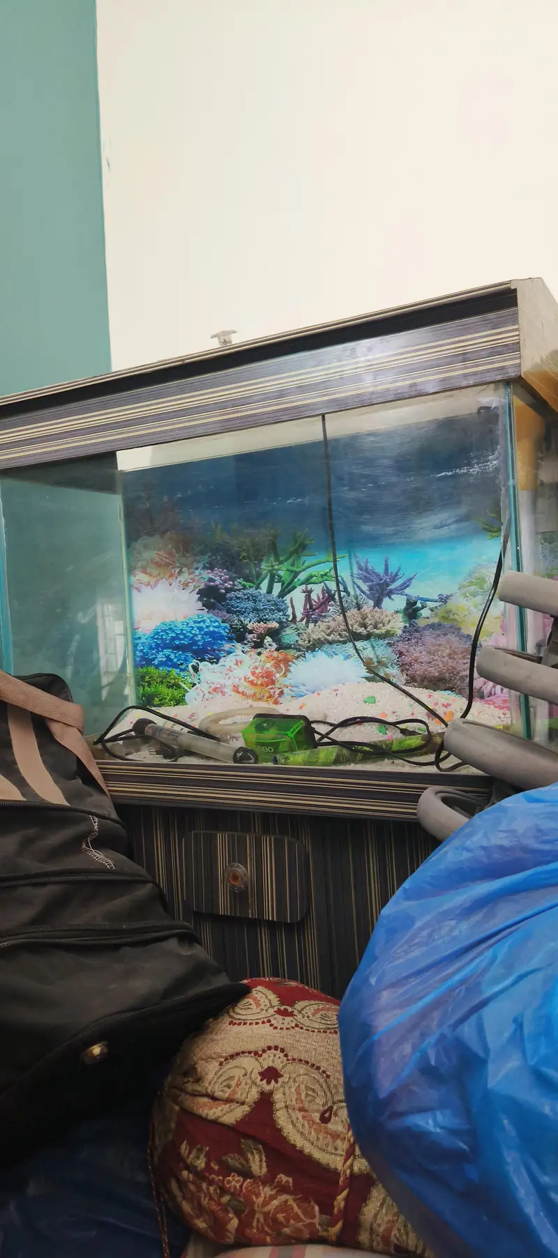 fish aquarium for sale — photo 3