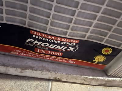 Phoenix battery tubular
