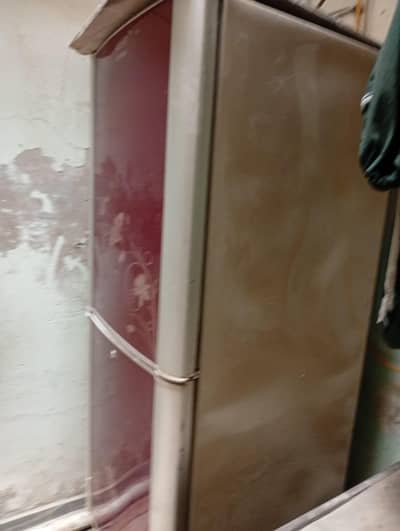 working condition and expensive freezer
