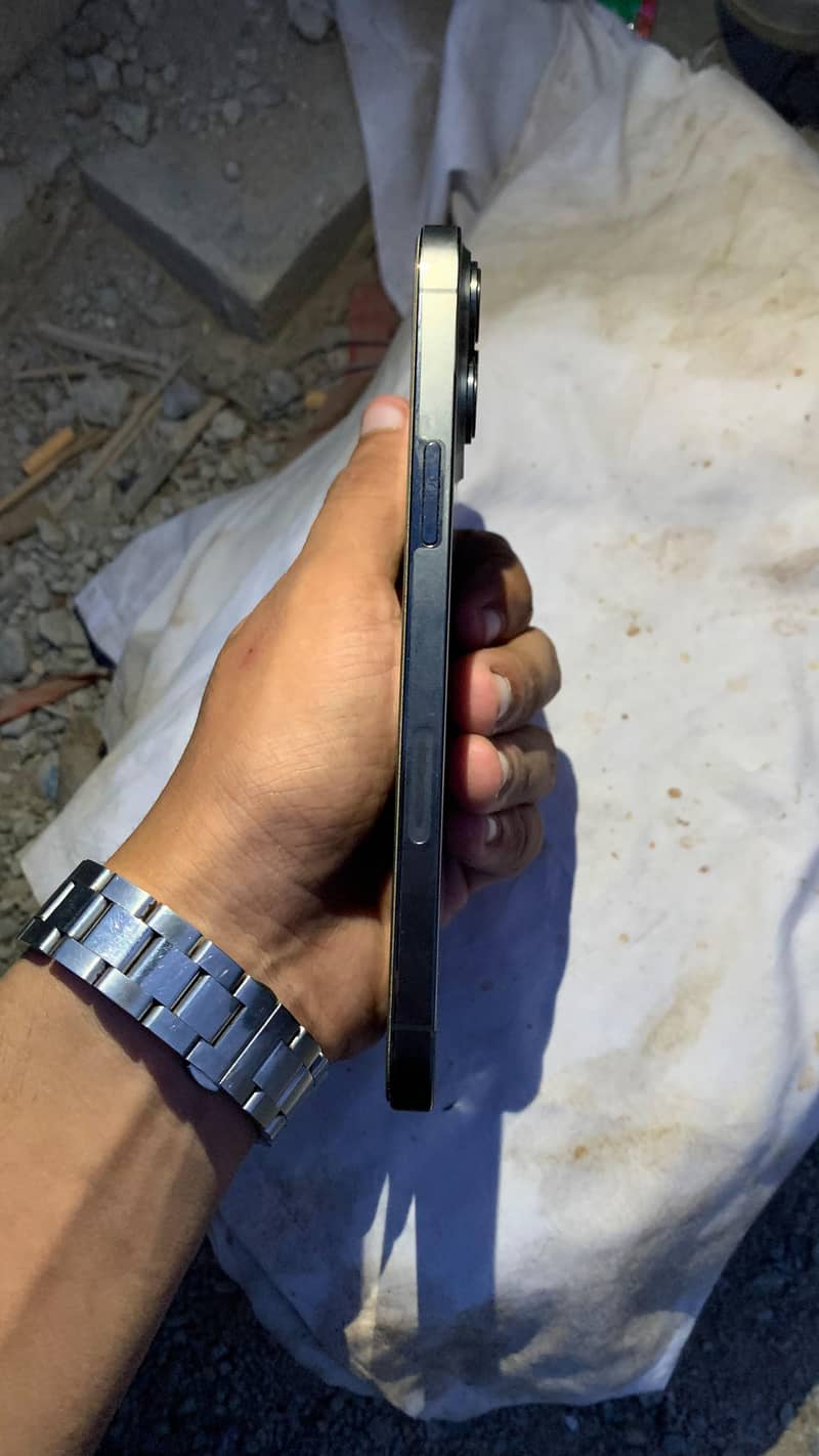 Apple iPhone 13 Pro Max 1