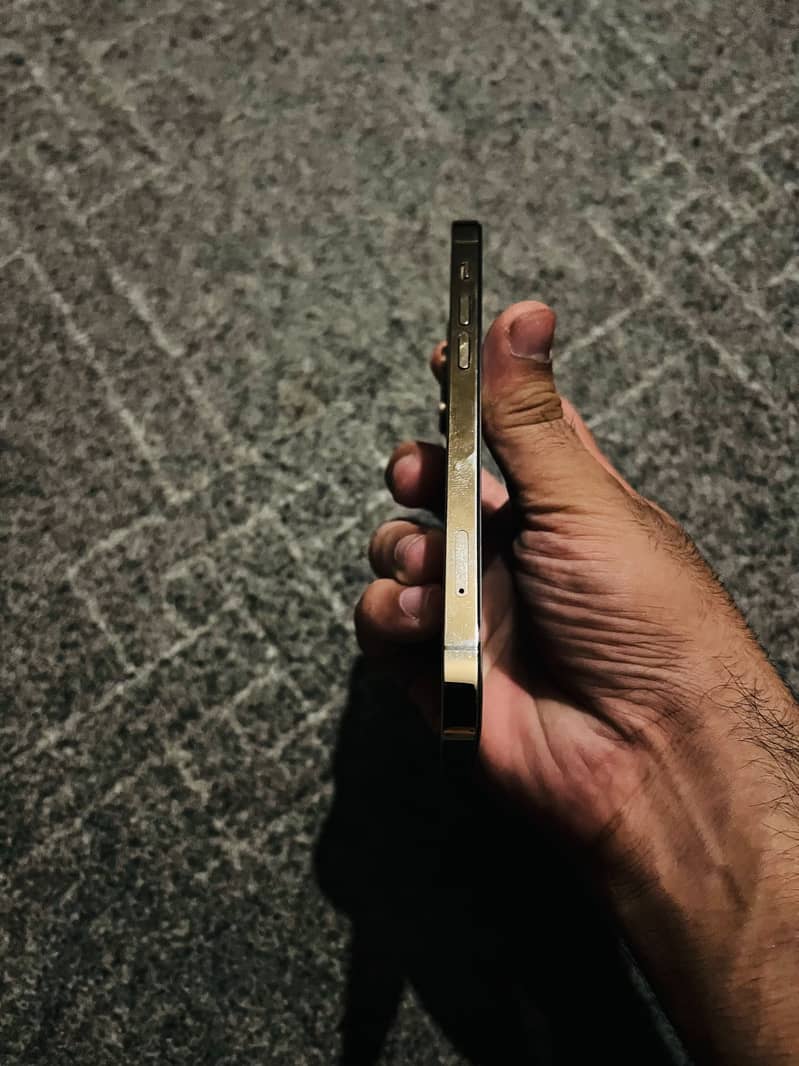 Iphone 12 Pro 4