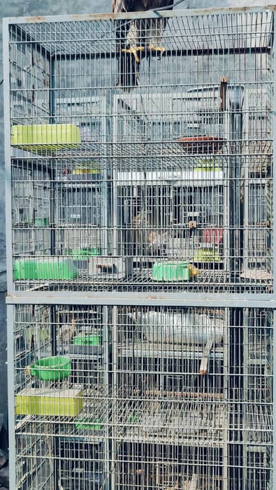 Cages | Pinjra | Iron Cage | Steel Cage | wooden Cage | Birds Cage