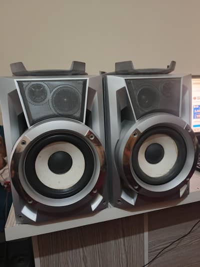 LG Original Speaker Pair FE-DV55VE