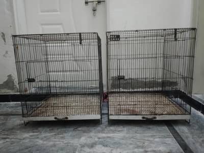 cage for sale 03156664642 WhatsApp