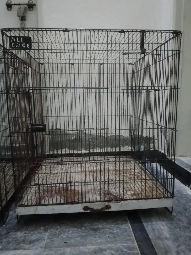 cage for sale 03156664642 WhatsApp — photo 2