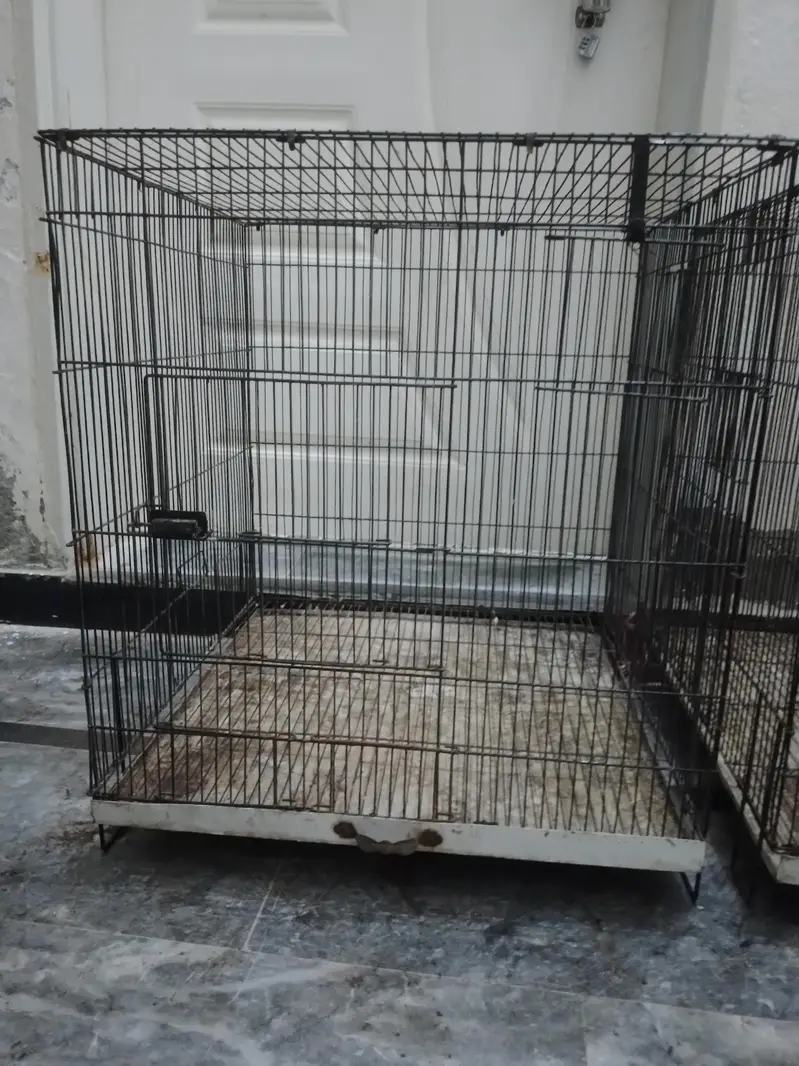 cage for sale 03156664642 WhatsApp — photo 3